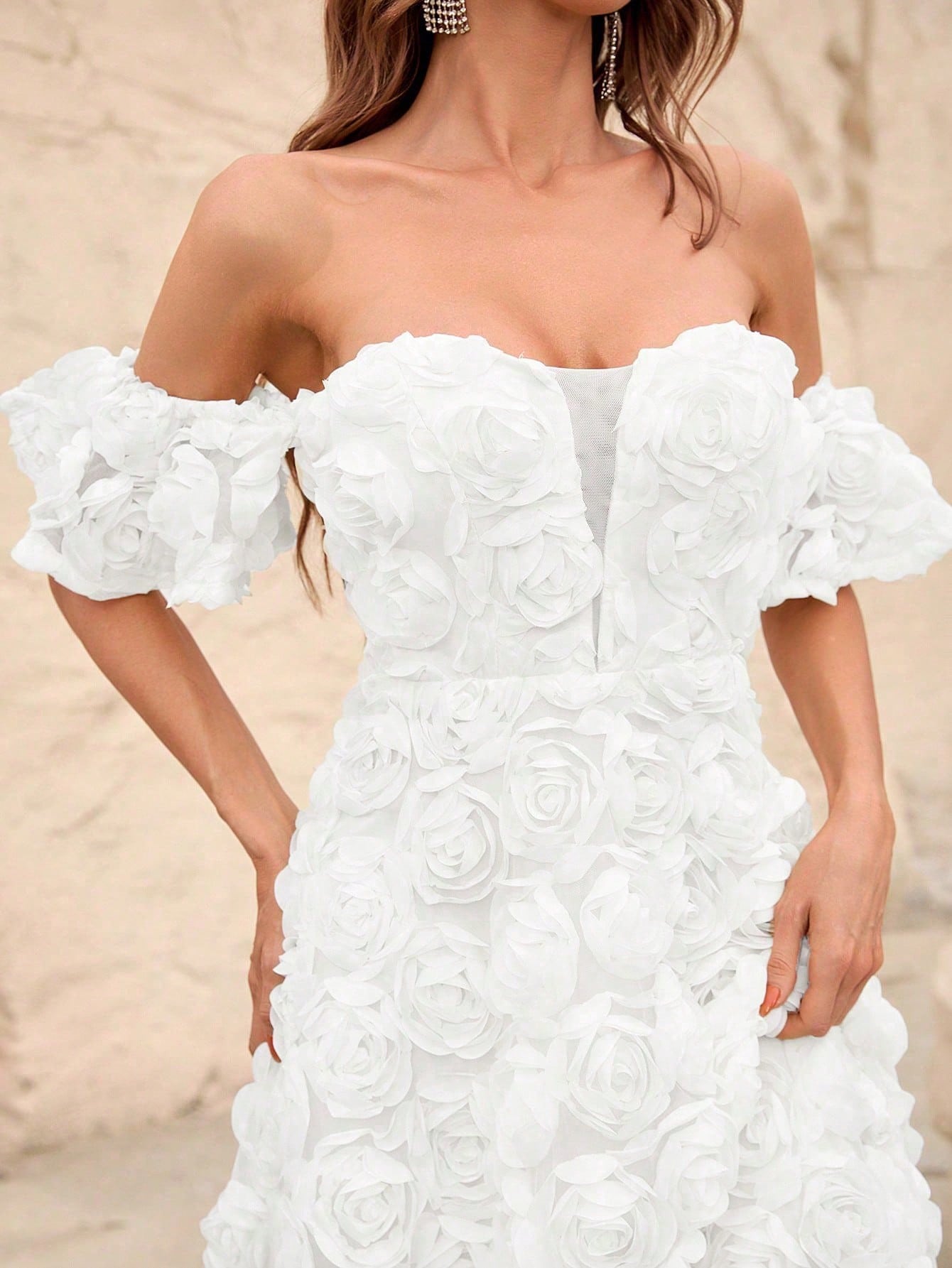 Off Shoulder Mesh Insert Floral Appliques Formal Dress